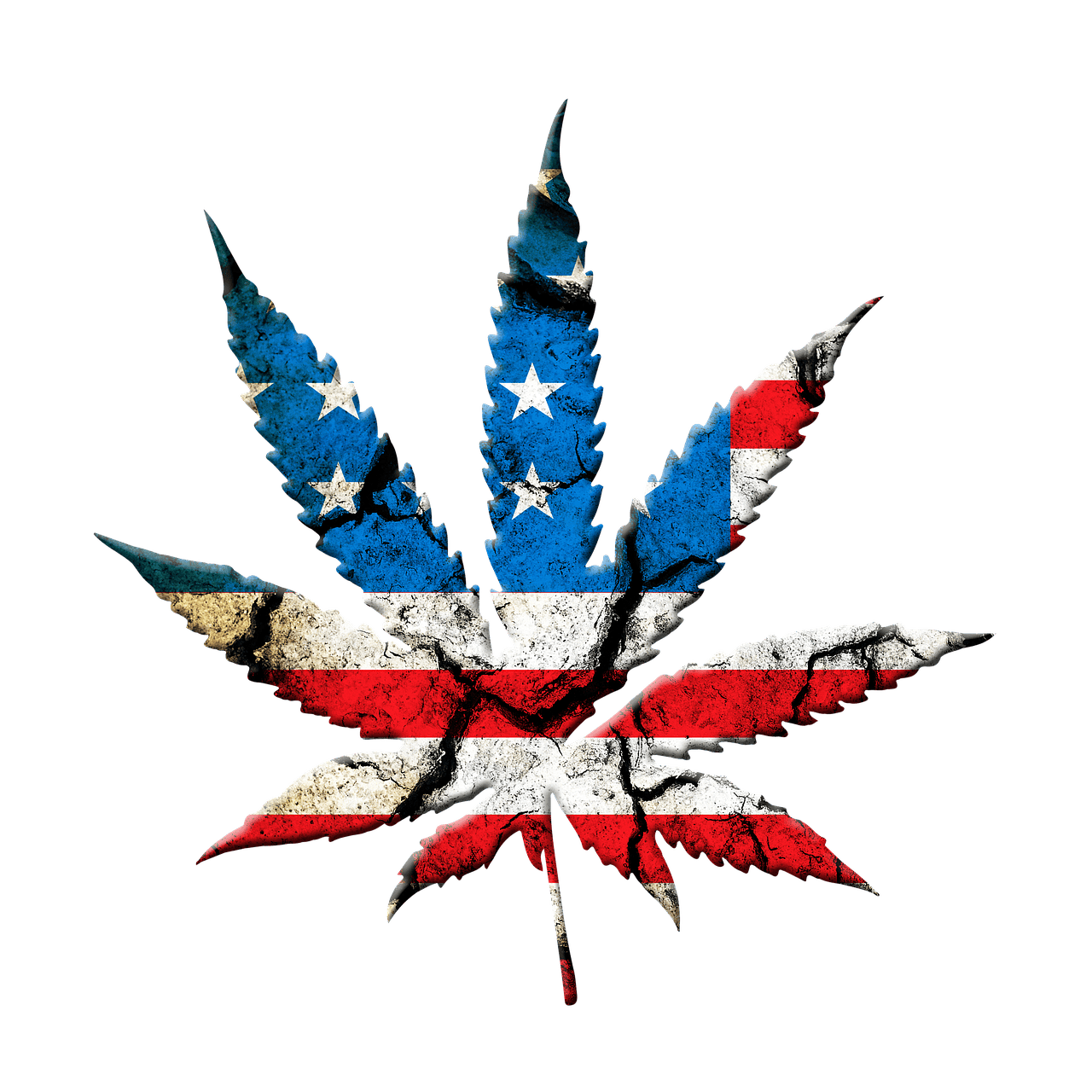 Illinois Cannabis laws 2024