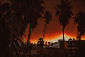 jessica christian yPbBqwKSR o unsplash How Mass Tort Lawsuits Are Holding Power Companies Accountable for Wildfire Destruction