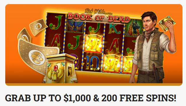 Leovegas free spins: Stapsgewijze gids voor maximale bonuswaarde Leovegas free spins: Stapsgewijze gids voor maximale bonuswaarde
